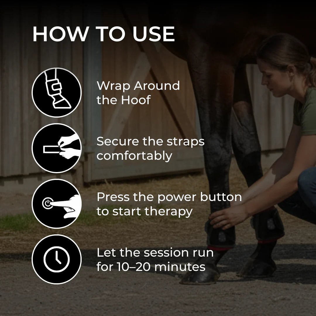 The 15-Minute Wrap for Chronic Lameness and Stiff, Sore Legs