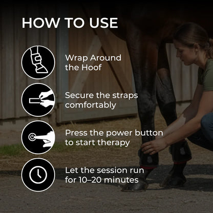 The 15-Minute Wrap for Chronic Lameness and Stiff, Sore Legs