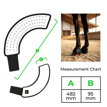 The 15-Minute Wrap for Chronic Lameness and Stiff, Sore Legs
